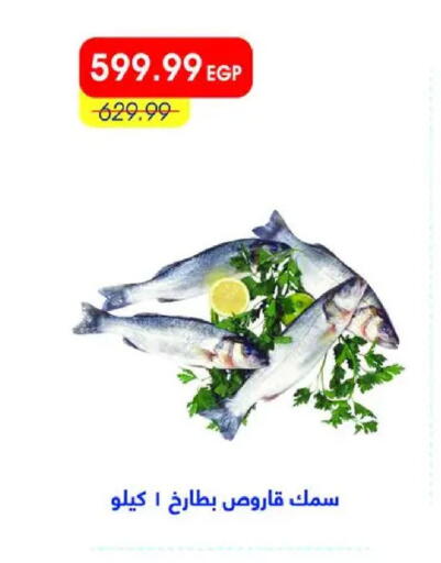 available at Metro Market  in Egypt - Cairo