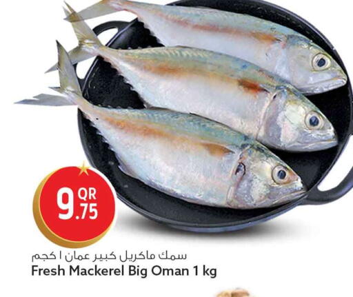 available at سفاري هايبر ماركت in قطر - الدوحة