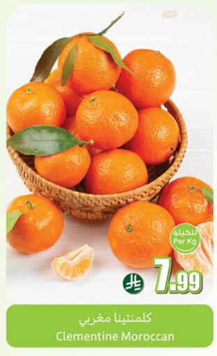 from Morocco available at أسواق عبد الله العثيم in مملكة العربية السعودية, السعودية, سعودية - المجمعة