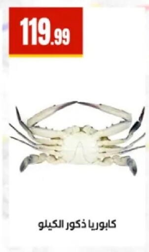 available at مارت فيل in Egypt - القاهرة