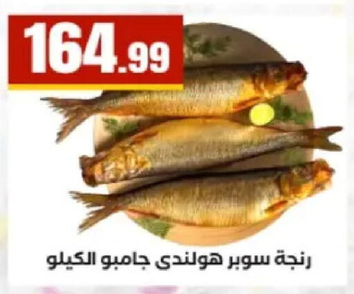 available at El Mahlawy Stores in Egypt - Cairo