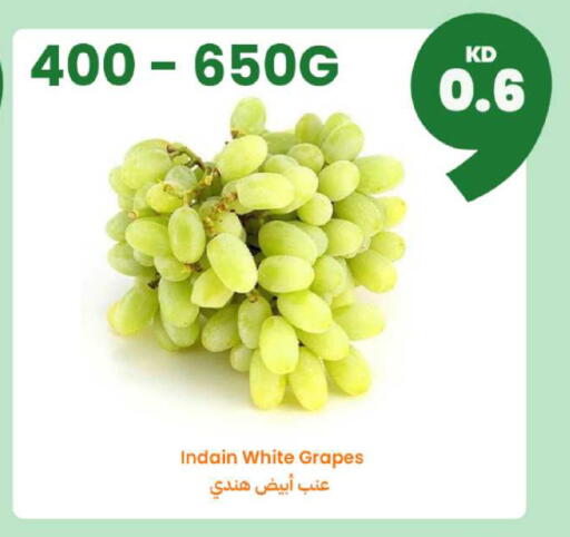 Grapes available at Taw9eel.com in Kuwait - Ahmadi Governorate