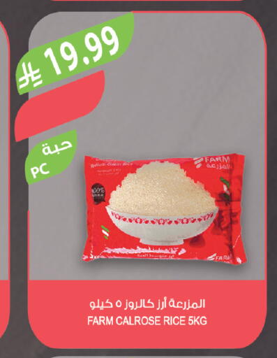 available at Farm  in KSA, Saudi Arabia, Saudi - Al-Kharj