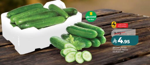 Cucumber from Saudi Arabia available at لولو هايبرماركت in مملكة العربية السعودية, السعودية, سعودية - عنيزة
