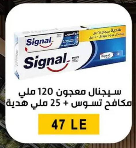 available at بن سليمان in Egypt - القاهرة