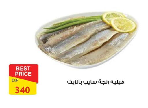 available at فتح الله in Egypt - القاهرة