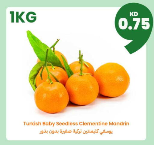 from Turkey available at Taw9eel.com in Kuwait - Ahmadi Governorate
