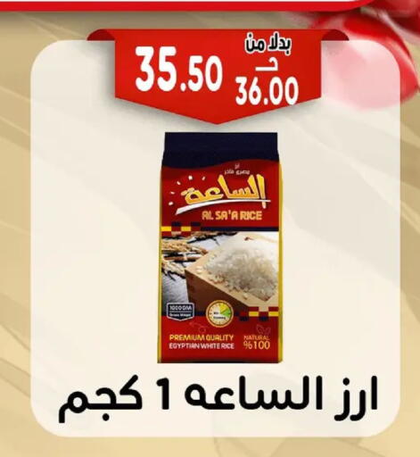 available at Bondok Market  in Egypt - Cairo