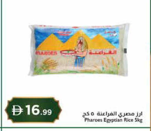 available at إسطنبول سوبرماركت in الإمارات العربية المتحدة , الامارات - رَأْس ٱلْخَيْمَة