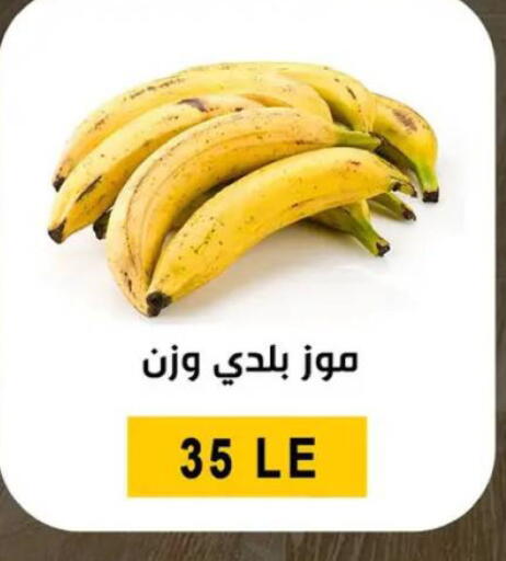 available at Ben Seleman in Egypt - Cairo