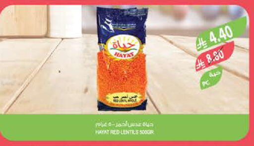 available at المزرعة in مملكة العربية السعودية, السعودية, سعودية - تبوك