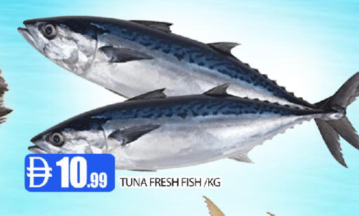 available at عين المدينة هايبرماركت in الإمارات العربية المتحدة , الامارات - الشارقة / عجمان