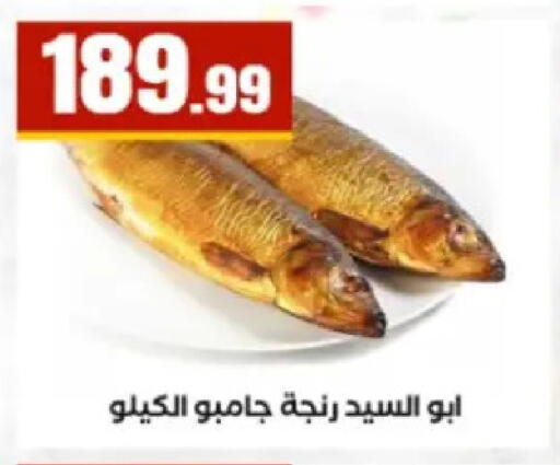available at El Mahlawy Stores in Egypt - Cairo