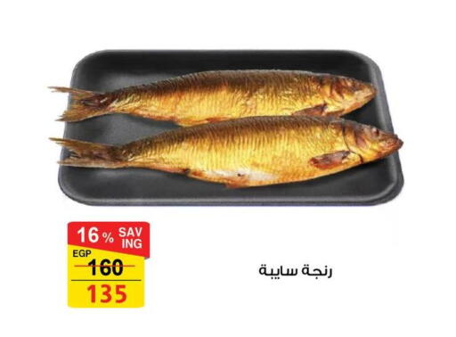 available at Fathalla Market  in Egypt - Cairo
