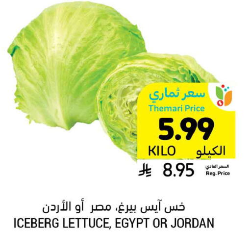 Lettuce from Egypt Jordan available at أسواق التميمي in مملكة العربية السعودية, السعودية, سعودية - حفر الباطن