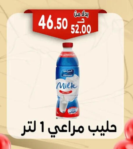 available at Bondok Market  in Egypt - Cairo