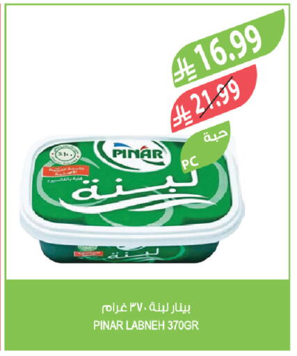 available at Farm  in KSA, Saudi Arabia, Saudi - Al-Kharj