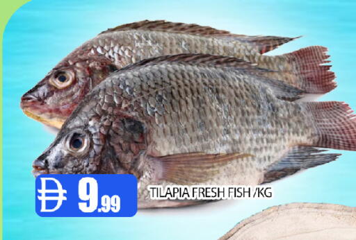 available at عين المدينة هايبرماركت in الإمارات العربية المتحدة , الامارات - الشارقة / عجمان