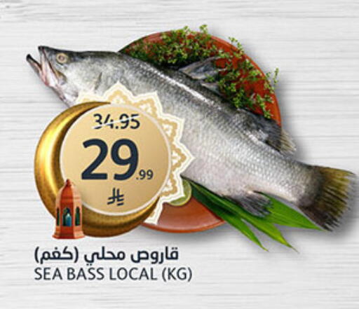 available at AlJazera Shopping Center in KSA, Saudi Arabia, Saudi - Riyadh