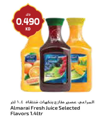 available at جراند كوستو in الكويت - مدينة الكويت