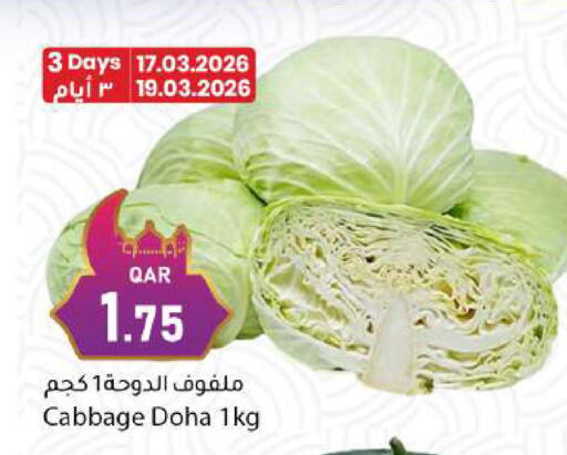 Cabbage from Qatar available at دانا ماركت in قطر - الريان