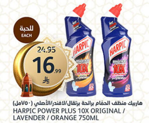Orange available at AlJazera Shopping Center in KSA, Saudi Arabia, Saudi - Riyadh
