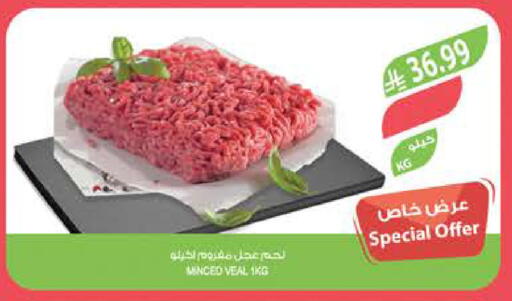 available at المزرعة in مملكة العربية السعودية, السعودية, سعودية - تبوك