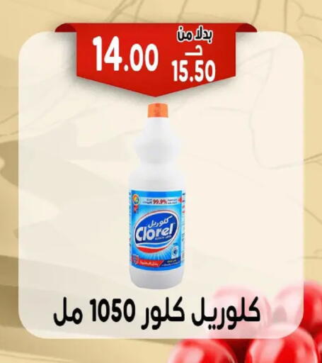 available at Bondok Market  in Egypt - Cairo