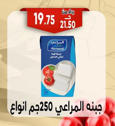 available at Bondok Market  in Egypt - Cairo