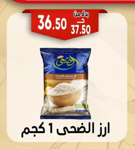 available at Bondok Market  in Egypt - Cairo
