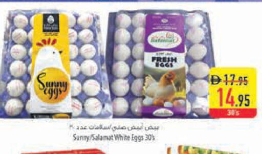 available at السفير ماركت in الإمارات العربية المتحدة , الامارات - أم القيوين‎