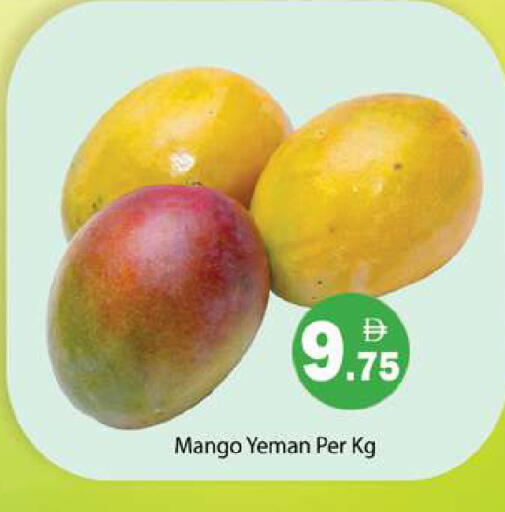 Mango available at جلف هايبرماركت ذ.م.م in الإمارات العربية المتحدة , الامارات - رَأْس ٱلْخَيْمَة