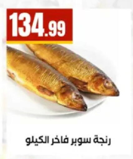 available at El Mahlawy Stores in Egypt - Cairo