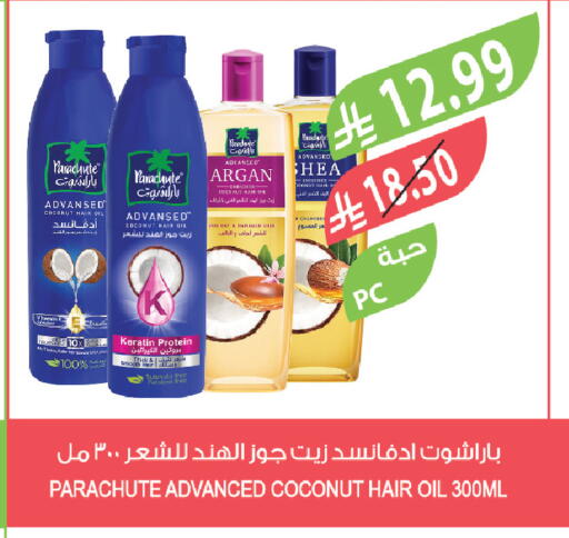 Coconut available at Farm  in KSA, Saudi Arabia, Saudi - Arar