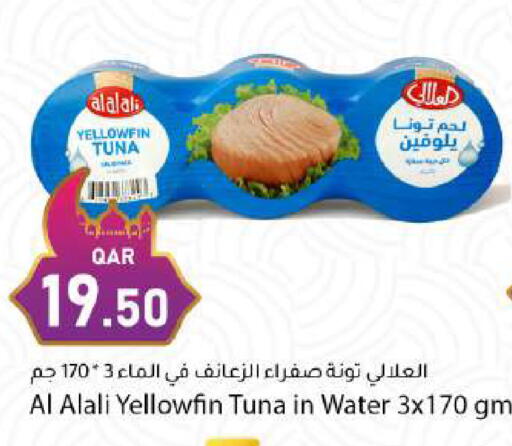 available at دانا ماركت in قطر - الريان