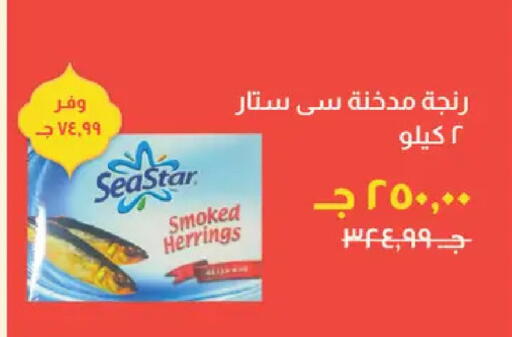 available at Kheir Zaman  in Egypt - Cairo