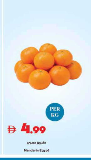 Mandarin from Egypt available at تروليز سوبرماركت in الإمارات العربية المتحدة , الامارات - الشارقة / عجمان