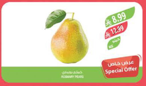 available at المزرعة in مملكة العربية السعودية, السعودية, سعودية - تبوك