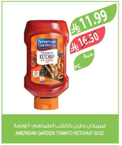 Tomato available at Farm  in KSA, Saudi Arabia, Saudi - Jeddah