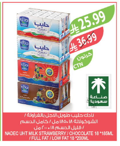 Strawberry available at Farm  in KSA, Saudi Arabia, Saudi - Sakaka