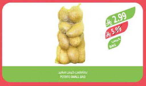 Potato available at المزرعة in مملكة العربية السعودية, السعودية, سعودية - تبوك