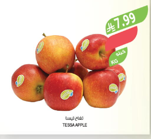 Apple available at المزرعة in مملكة العربية السعودية, السعودية, سعودية - عرعر