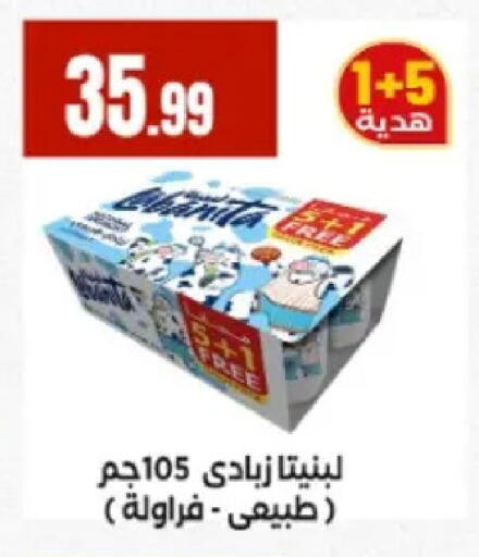 available at El Mahlawy Stores in Egypt - Cairo