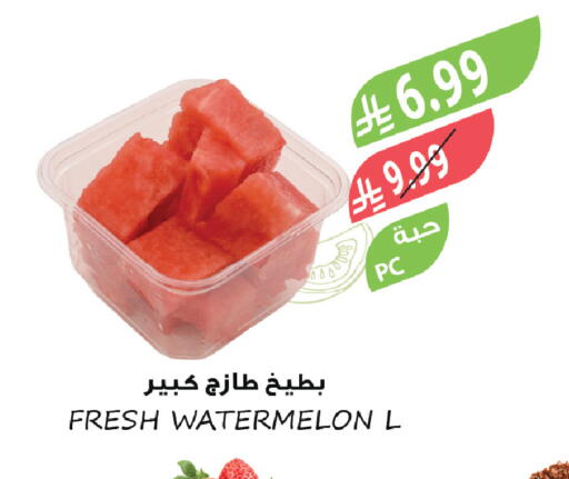 Watermelon available at المزرعة in مملكة العربية السعودية, السعودية, سعودية - عرعر