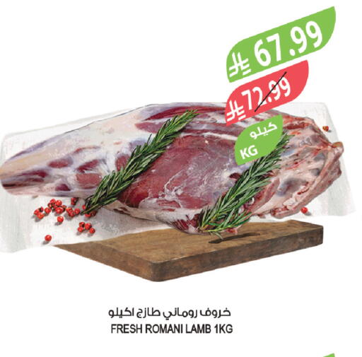 available at Farm  in KSA, Saudi Arabia, Saudi - Al Khobar