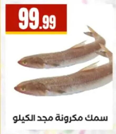 available at El Mahlawy Stores in Egypt - Cairo