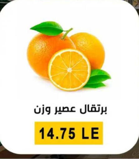 available at Ben Seleman in Egypt - Cairo