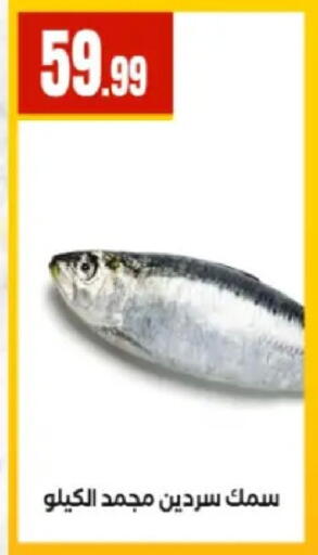 available at El Mahlawy Stores in Egypt - Cairo