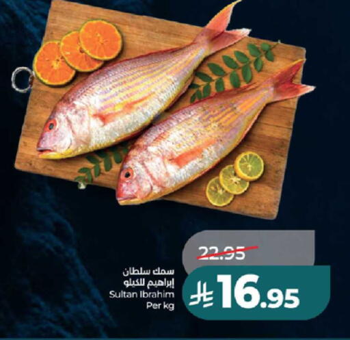 available at LULU Hypermarket in KSA, Saudi Arabia, Saudi - Ta'if