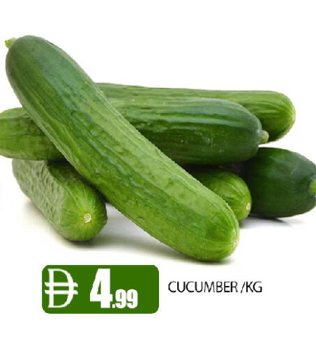 Cucumber available at عين المدينة هايبرماركت in الإمارات العربية المتحدة , الامارات - الشارقة / عجمان